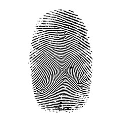 Realistic Biometric Identity Mark Texture for Modern Security