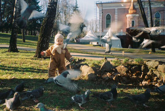 Father and kid Feeding Pigeons Together  - film analog