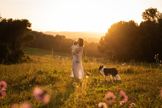 Mother child sunset field