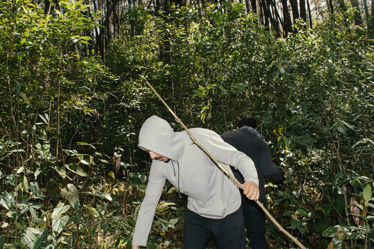 Exploring a dense forest while foraging for firewood