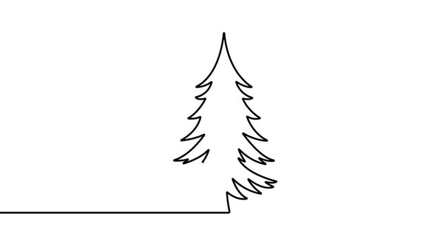 Minimalist continuous line art pine tree animation abstract organic growth concept simple black and white design natural element evolving shape