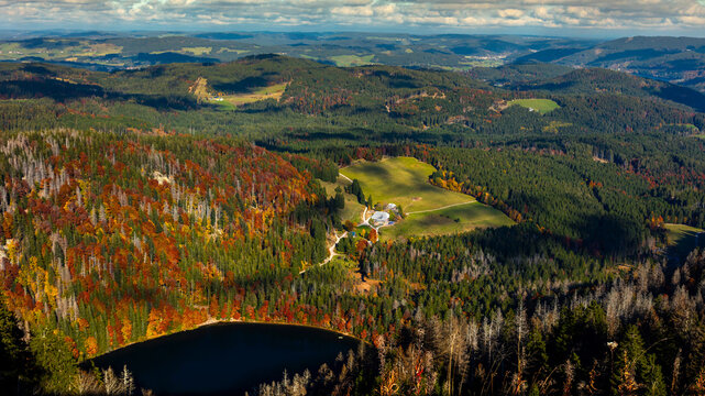 View from the Feldberg to the Feldsee in the Black Forest