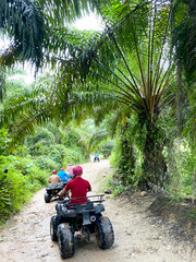 Group of individuals riding ATVs on a dirt path surrounded by lush tropical palm trees in a vibrant green landscape during an outdoor adventure tour © ribalka yuli