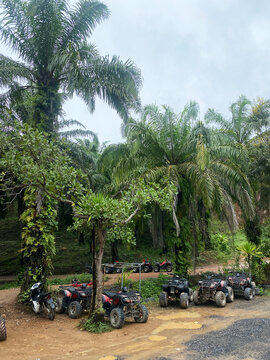 ATV jeeps parked under palm trees in a tropical setting, surrounded by lush greenery and dirt paths, ready for tourist exploration in an outdoor adventure location