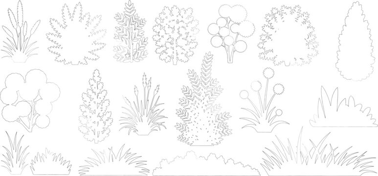 Plant elevation line silhouettes outline - grass, shrub, tree big set vector, grass line cad and silhouettes isolated on white background.