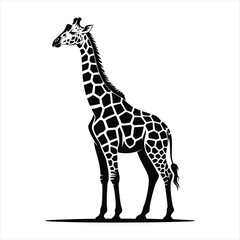 Elegant black and white giraffe silhouette standing proud on white background