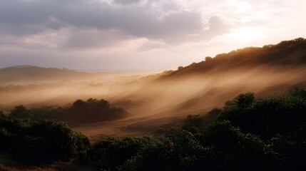 Naklejka premium A serene landscape unfolds as ethereal morning mist swirls through rolling hills bathed in the warm golden light of a majestic sunrise