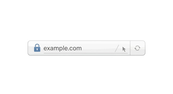 Secure website address bar with padlock icon and example.com text.