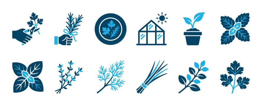 Vibrant collection of flat design herb and gardening icons, depicting various culinary plants, cultivation, and harvesting activities in a modern two-tone style