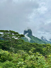 Mount Mouaroa and forest seen from Belvedere Lookout, Moorea, Tahiti