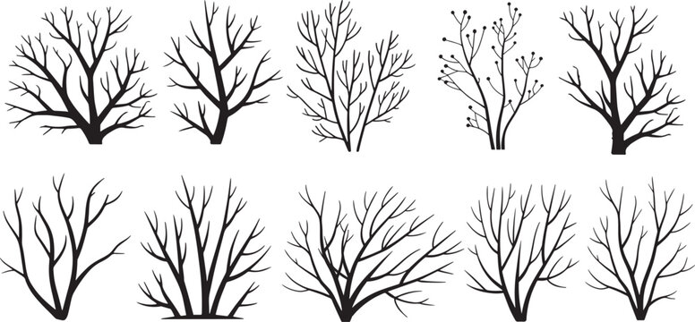 Silhouettes of bare trees and shrubs isolated against a white background. victor illustration
