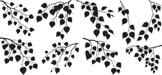 tree branches and leaves black silhouette set, decorative ivy vine design element, minimalistic vector of leaves in outline, plant stem or tree branch, vector © shahzad