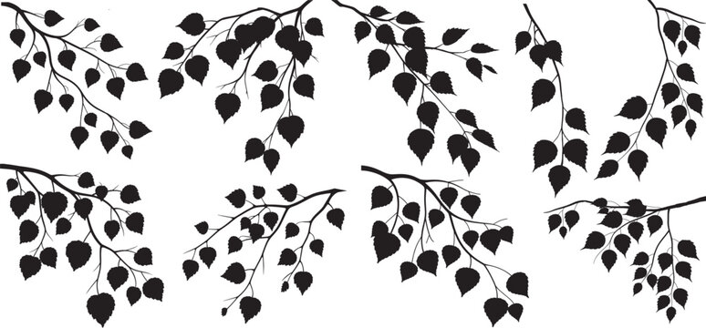 tree branches and leaves black silhouette set, decorative ivy vine design element, minimalistic vector of leaves in outline, plant stem or tree branch, vector