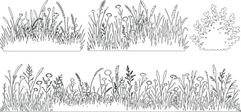 set of forest line cad, Ground cover. Illustration for elevation architectural element, side view, grass section. silhouettes of grass and wheat vector illustrations