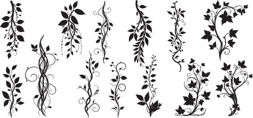 collection of floral design elements, specifically silhouettes of jungle creepers and vines. vector illustration © shahzad