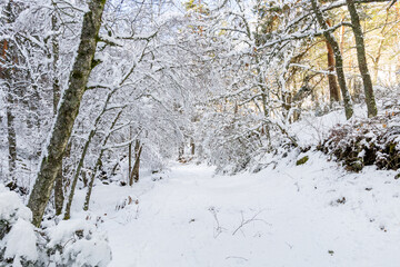 Snowy landscape of mountains port of Canencia in Madrid, Spain