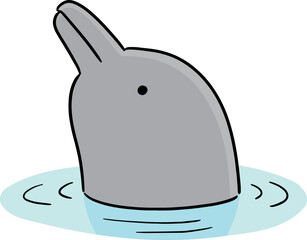 Illustration of dolphin © olllikeballoon