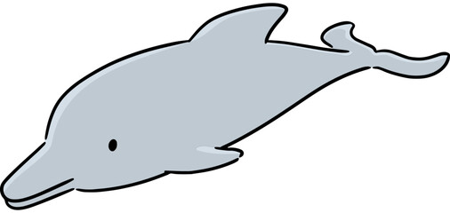 Illustration of dolphin © olllikeballoon