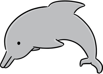 Illustration of dolphin © olllikeballoon