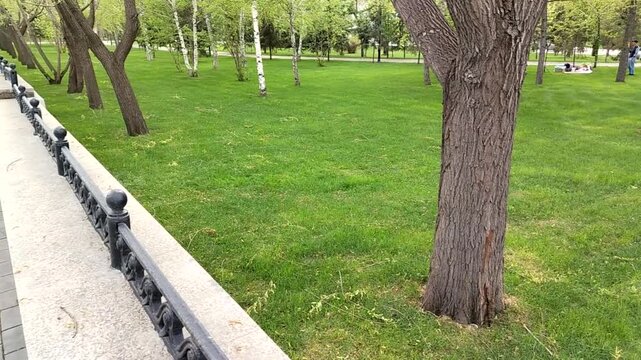 Horizontal video of a city park lawn with trees and a stone walkway with metal railing. Urban green space, spring park walk, peaceful outdoors, public garden, copy space.