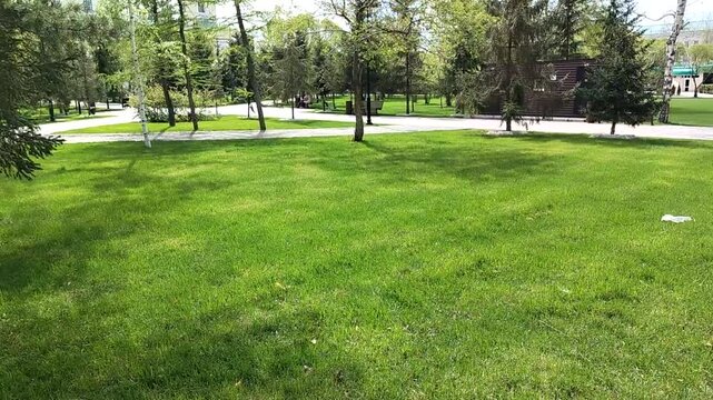 Horizontal video of a green lawn and trees in a city park with empty walking paths. Urban nature, spring greenery, peaceful outdoor space, public park scenery, copy space.