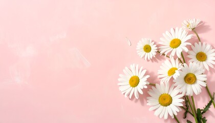 A bouquet of white daisies with yellow centers beautifully arranged on a soft pink background