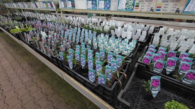 A tracking shot over rows of small potted perennials and seedlings in black crates with colorful informative labels inside a large garden center warehouse.
