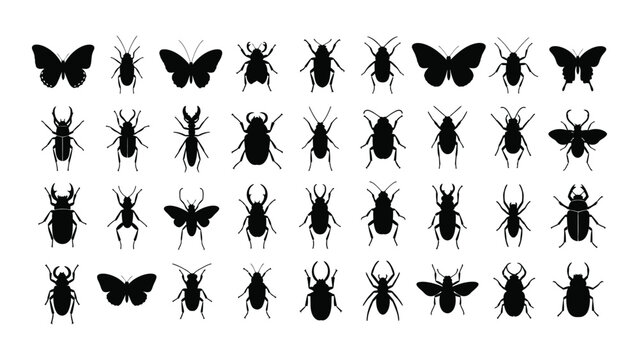 A collection of black silhouettes of various insects isolated on white background, Vector