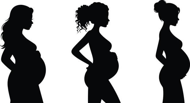 Silhouettes of Pregnant Women in Profile, Maternity Motherhood Concept Illustration, Expecting Mothers with Baby Bump, Prenatal Care and Pregnancy Stages Graphic
