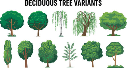 Deciduous tree variant illustration featuring diverse foliage patterns, trunk structures, and seasonal growth habits with bold title text symbolizing forestry, botany, environment, and educational gra © Sharon 