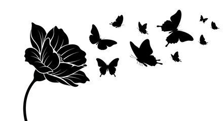 Fototapeta premium Black Silhouette Flower with Butterflies Flying Away.