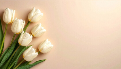Fototapeta premium チューリップ Tulip 066 Group of White Tulips on Beige Background with Wide Copy Space for Design（デザイン用の広いコピースペースがあるベージュ背景の白いチューリップのグループ）