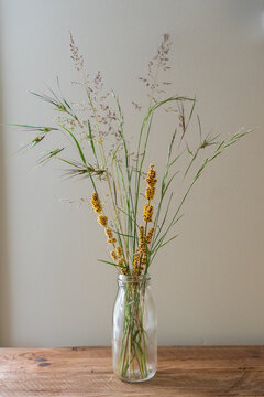 tussock grass (Poa labillardierei), spiny-headed mat-rush (lomandra longifolia) & kangaroo grass