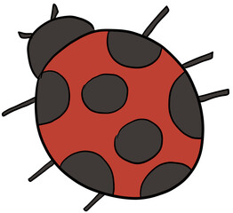 Obraz premium 무당벌레