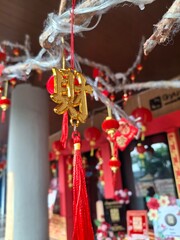 Chinese New Year Ornament with Spring Character - Festive Decoration