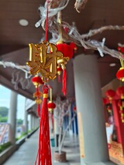 Chinese New Year Ornament with Spring Character - Festive Decoration