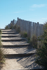 Obraz premium path to the beach
