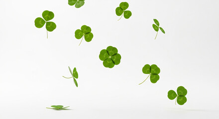 Obraz premium Realistic Four Leaf Clover Floating with Soft Shadows on White Background