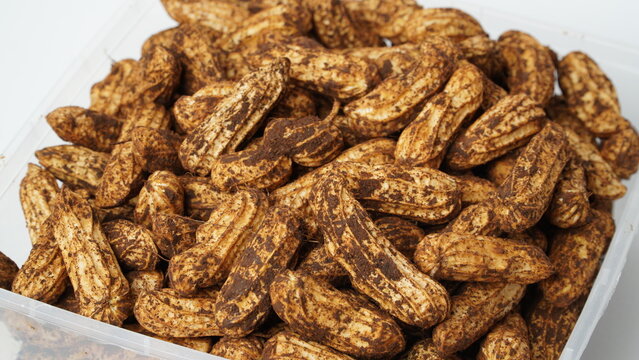 Isolated white batik peanuts or striped peanuts (Arachis hypogaea L.) that are still dirty with soil and have not been washed are placed in clear plastic containers.