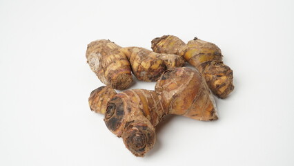 Isolated white Ganyong (Canna discolor), which is a type of tuber that is rich in starch and grows widely in Asia.