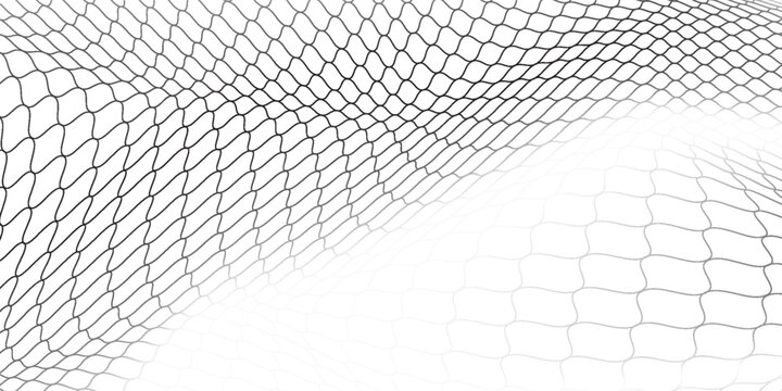 Black snake skin pattern isolated on white background eps 10