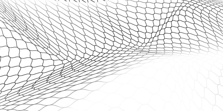 Black snake skin pattern isolated on white background eps 10