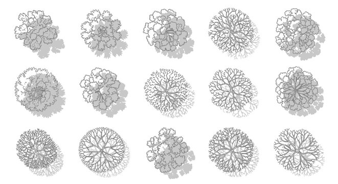 Set of Stylized Top-Down Tree Icons for Architectural and Landscape Design
