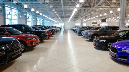 Car dealership showroom interior with rows of new vehicles. © Andrei Armiagov