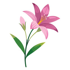 Adobe Illustrator Artwork zephyranthes rosea flower