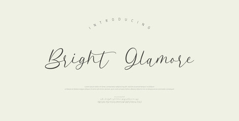 Bright Glamore, Script premium luxury elegant alphabet letters and numbers. Elegant wedding typography classic serif font decorative vintage retro. Creative vector illustration  © Gizmo Design