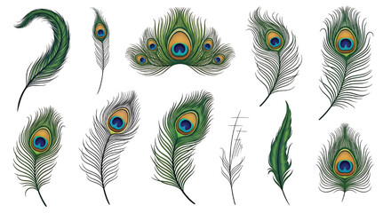 Peacock feather set of decorative green and blue eye patterns, isolated vector elements for luxury design, boho decor featuring peafowl, feathers, plumage with eyespot and teal elements for gold, © Devid 