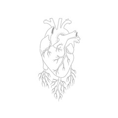 Fototapeta premium Human heart anatomy illustration with complex root system on grid background art