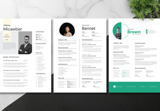Modern Corporate Resume and CV Template Pack for Job Application