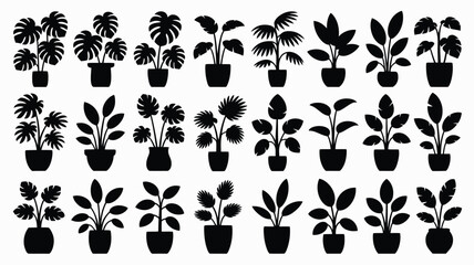 Fototapeta premium Collection of 32 tropical indoor plants in black silhouette on white background for decoration and design